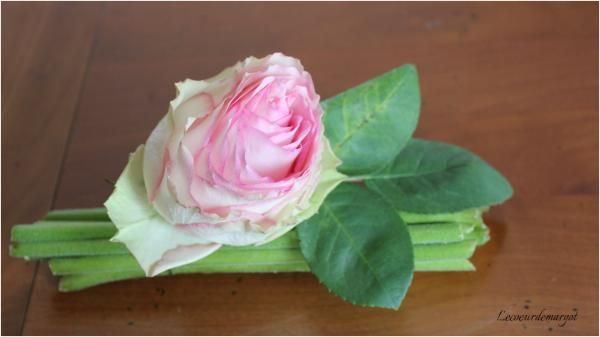  Une rose sur son fagot