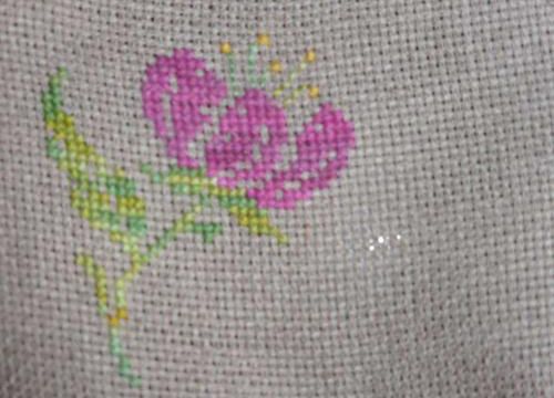 Petite fleur