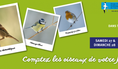 Comme la nature est belle !
