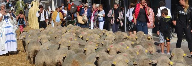 Rambouillet : Fête de la Saint Lubin ... Petite histoire