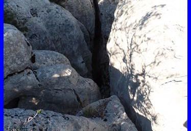 Var, Les grottes du Caramy (2)