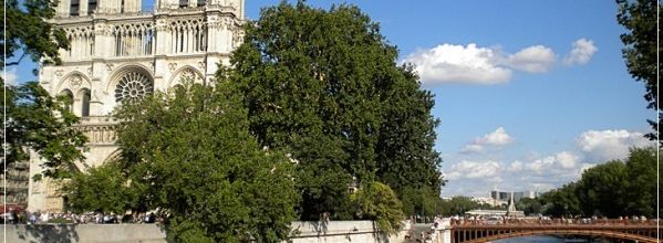 L'île de la Cité