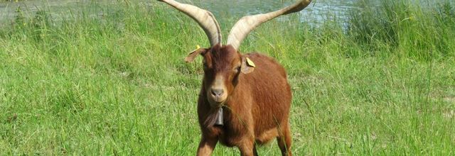 rencontre avec des ...