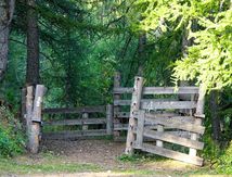 La Cabane de Noncières
