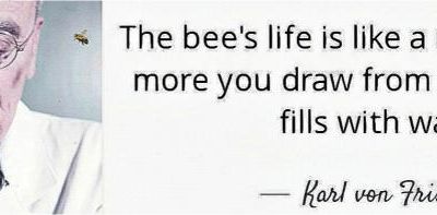 Karl von FRISCH, hommage par Cyrille JANISSET