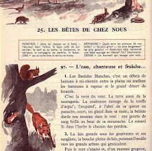 Semaine 25 Les bêtes de chez nous