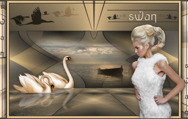 Swan