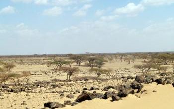 Kenya