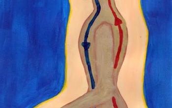 De la transmutation sexuelle