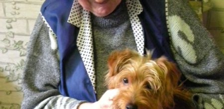 Un dimanche entre soleil et averses