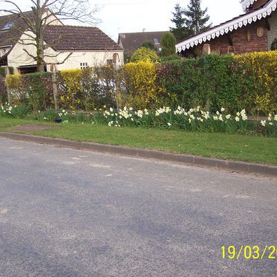 C'est le printemps dans notre village