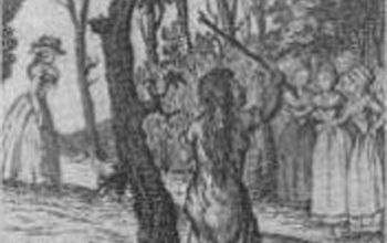 La fille sauvage de Songy* 