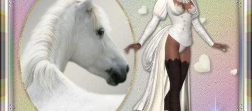  Le cheval.