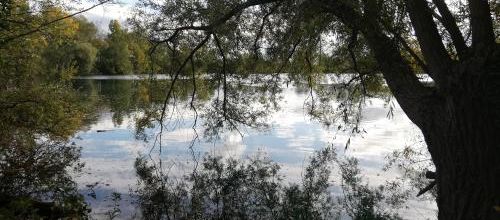 reflets chez Annie