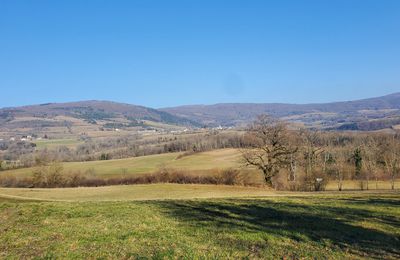 Le 17 février 2025 : Quand il n'y a pas de neige...