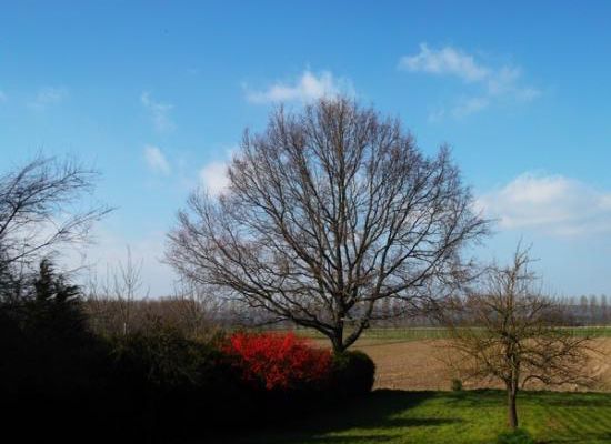 Extraits de livres lus : Son visage est le tien » d?Alexis Jenni (4)