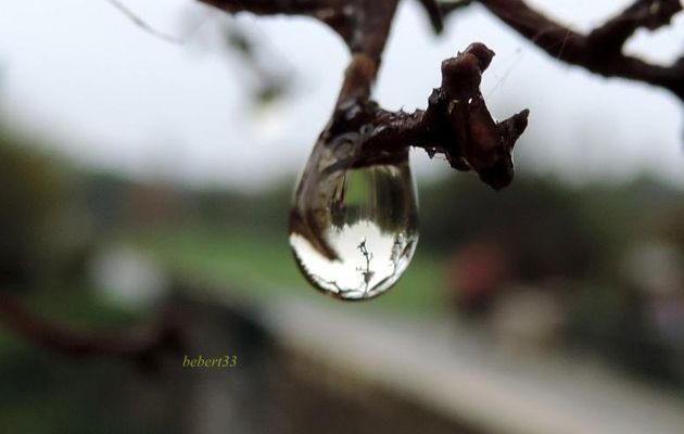 mes gouttes d'eau !