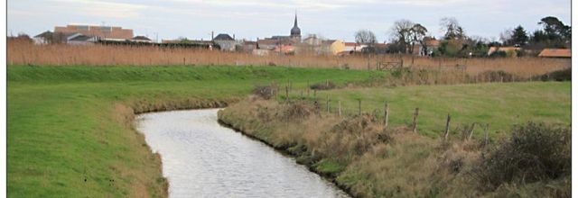 LES PÊCHERIES DE CORSEPT (44)