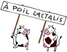 Lactalis délave le blanc (quelques rappels sur un groupe laitier peu amène) 