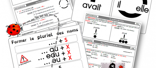 Leçons, évaluations et affichages d'orthographe CE2-CM1