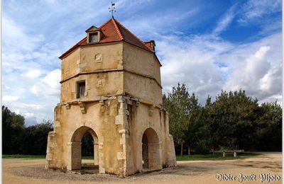 79 . Deux-Sèvres - Sauzé-Vaussais (1) - Pigeonnier