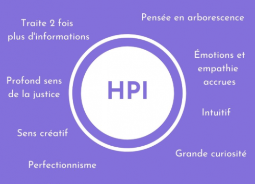 Le cerveau des HPI; leur rapports avec l'école.