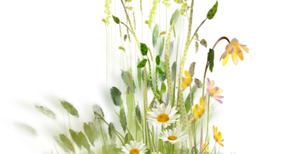 ѼVegetation