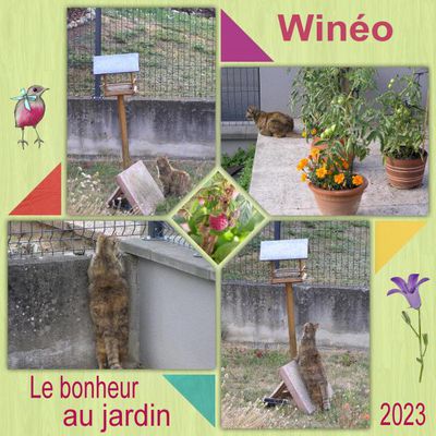 Winéo