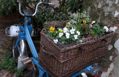 Nouvelle vie pour un vieux Solex 