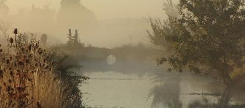 ... juste un petit matin...