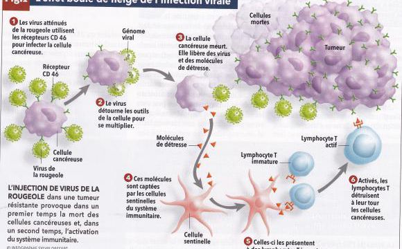 Virus contre cancer.