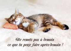 Ne remets pas à demain ce que...«devinez quoi ?»