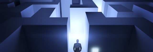 Le labyrinthe de la vie