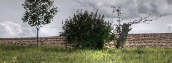 Souvenir d'été 2