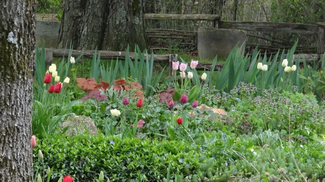 Le Mois d'Avril est là ....
