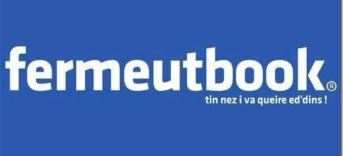 Réseaux Sociaux , une nouveauté pour le Nord
