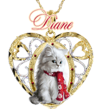 712B - Chat Bijou, signature, gif animé, blinkie