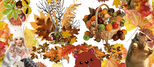 ANIMAUX FEUILLES TOMBANTE