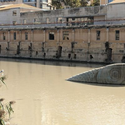 Suite de Murcia et les environs -4