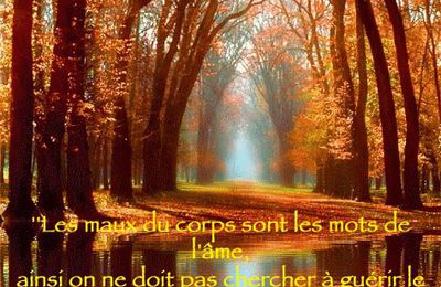 Les maux du corps