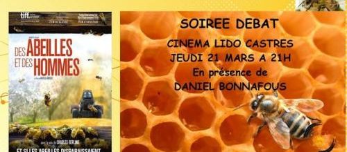 Info en partage : Projection-débat "Des abeilles et des hommes" le 21/03/13 - Cinéma Le Lido à CASTRES !!!