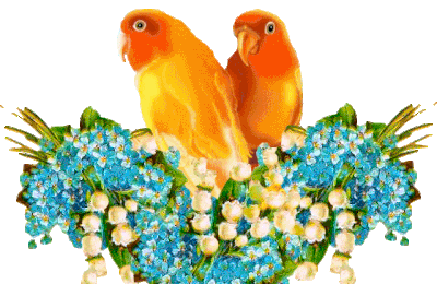 OISEAUX FLEURS BON DIMANCHE