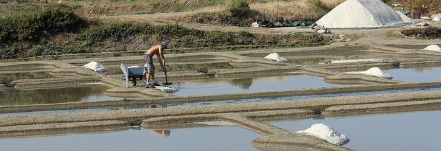 Dans les Marais salants de Guérande