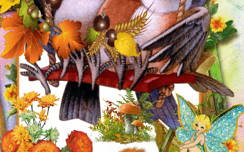 OISEAUX ECUREUIL EN AUTOMNE