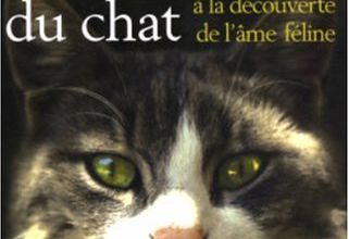 Les 9 vies émotionnelles du chat : 