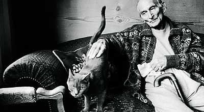 Le roi des chats :