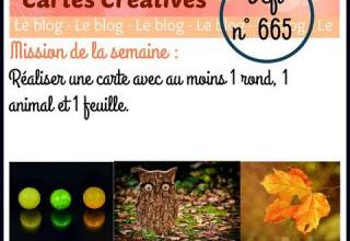Passion Cartes Créatives#665 !
