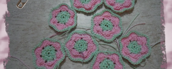 Fleurs bicolores