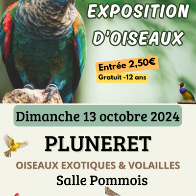 BOURSE D'OISEAUX EXOTIQUES 