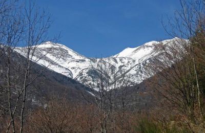 La Baraque du Faig (1.589 m) depuis Leca (901 m).